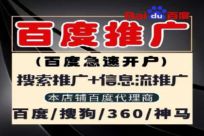 电商平台的关键词竞价排名：销售增长的秘诀